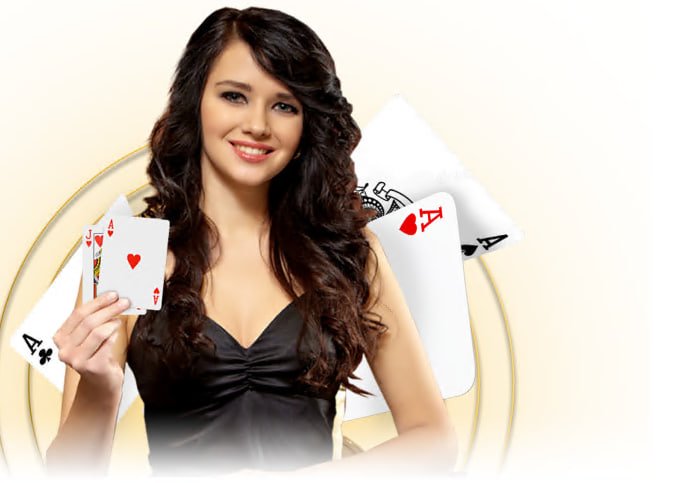 bingoplys