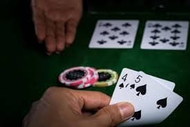 bingoplys